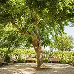 Il Borgo Di Donoratico, With Swimming Pool Hotel apartamentowy Donoratico