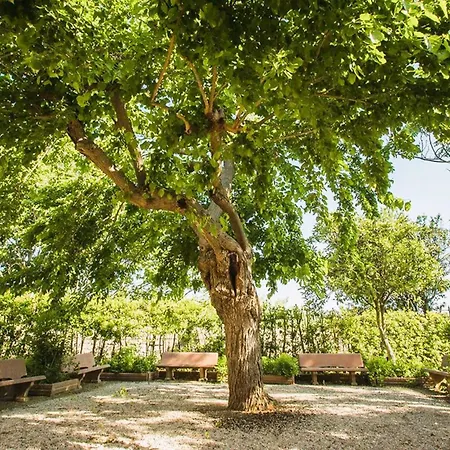 Lejlighedshotel Il Borgo Di Donoratico, With Swimming Pool